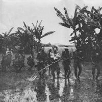 Richard Schechner And Joan MacIntosh - New Guinea Tapes Part 2