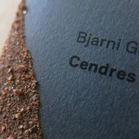 Bjarni Gunnarsson - Cendres