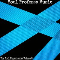 Soul Professa - The Soul Experience: Volume 9