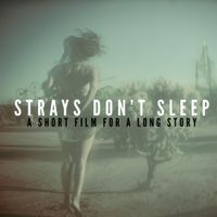 Strays Don't Sleep - A Short Film For a Long Story