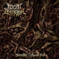 Focal Dystonia - Descending (In​)​Human Flesh
