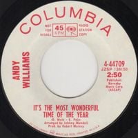 Andy Williams - It's the Most Wonderful Time of the Year