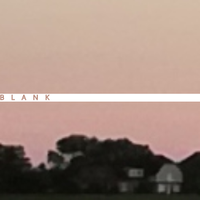 Blank - ANIMAL SOUNDS VOL 1