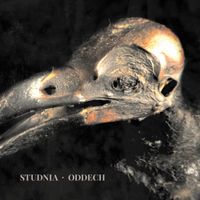 Studnia - Oddech