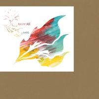 Animal Collective - Campfire Songs