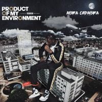 Abra Cadabra - Product of My Environment