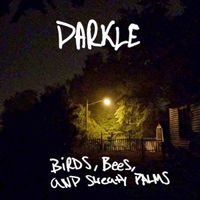 Darkle - Birds, Bees, and Sweaty Palms