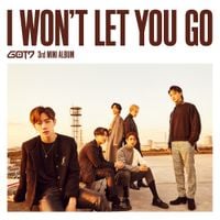 GOT7 - I Won't Let You You Go