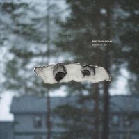 Post Truth Serum - Modern Victims