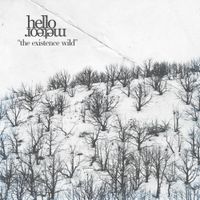 Hello Meteor - The Existence Wild
