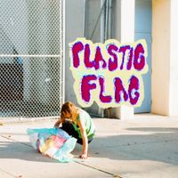 Cal Fish - Plastic Flag