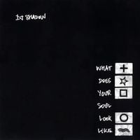 DJ Shadow - What Does Your Soul Look Like