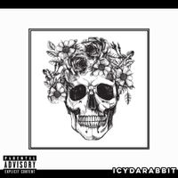 IcyDaRabbit - Freakshow! II
