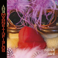 The Magnetic Fields - Andrew in Drag