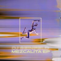 DJ Seinfeld - Mezcalita