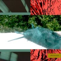 Lil Ugly Mane - Grave Within a Grave
