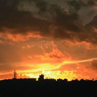 Contemplando El Cielo - Untitled Field Recordings
