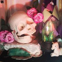 The Mary Veils - Slacker Paint