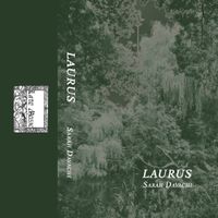 Sarah Davachi - Laurus