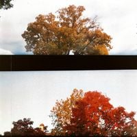 Heroin Party - summer made me blue; summer gave me sky