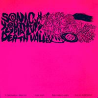 Sonic Youth & Lydia Lunch - Death Valley '69