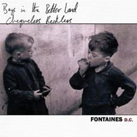 Fontaines D.C. - Chequeless Reckless / Boys in the Better Land