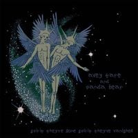 Animal Collective - Spirit They're Gone, Spirit They've Vanished