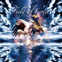 Field Of Forest - Illumination