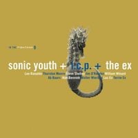 Sonic Youth / I.C.P. / The Ex - In the Fishtank 9