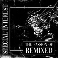 Special Interest - The Passion Of: Remixed