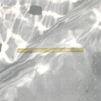 Human Mesh Dance - Thesecretnumbertwelve