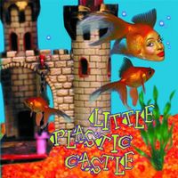 Ani DiFranco - Little Plastic Castle