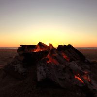 Jon Hopkins - Dawn Chorus