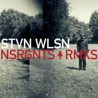 Steven Wilson - NSRGNTS RMXS