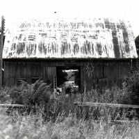 Set Fire to Flames - Barn Levitate