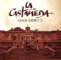 La Casta&ntilde;eda - Servicios Generales II