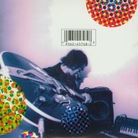 The Flaming Lips - Due to High Expectations... The Flaming Lips Are Providing Needles for Your Balloons