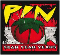 Yeah Yeah Yeahs - Pin