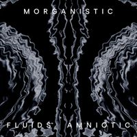 Morganistic - Fluids Amniotic