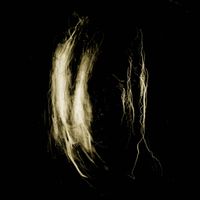 My Heart, An Inverted Flame - Plague Notes, Unnamed, Unknown, A Finger Dragged Through Dust