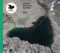 Christian Wallumrød Ensemble - Many