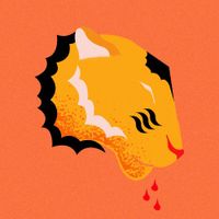 The Republic Tigers - Risky Business