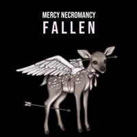Mercy Necromancy - Fallen