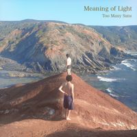 Too Many Suns - Meaning of Light