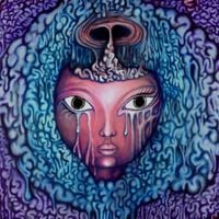 Passenger of Shit - Faecalibrium