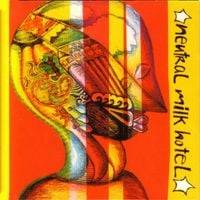 Neutral Milk Hotel - Everything Is