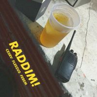 Febem - RADDIM