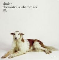 Simian - Chemistry Is What We Are