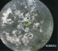 Konvoj - Pun Mjesec