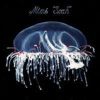 Mimi - Soak